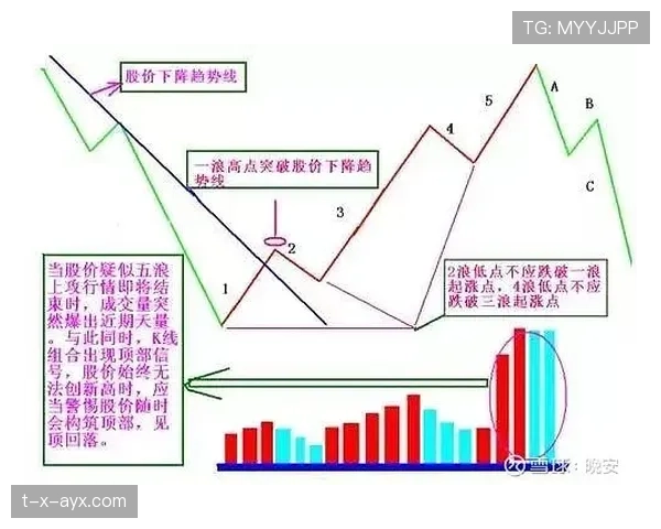 弗拉霍维奇作为支点与终结者的战术价值解析